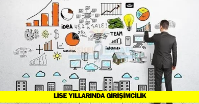 lise-yillarinda-girisimcilik-fikirleri-gelistirme